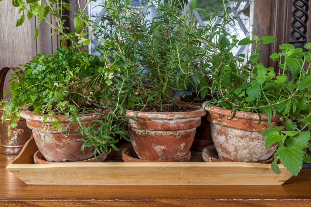 Herbal Mixtures Part 1 Fantasy Decorating