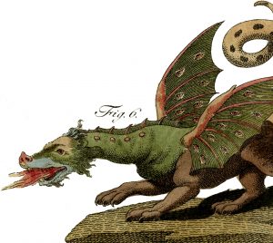 Medieval Dragons Illustration